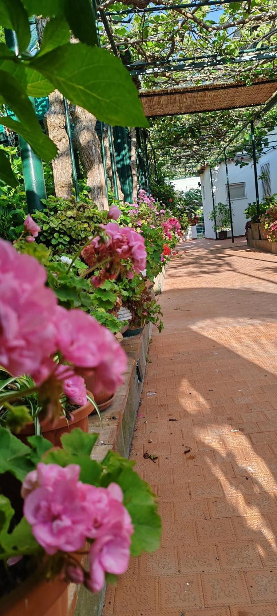 Villa Dei Fiori B&B Capri Exterior photo